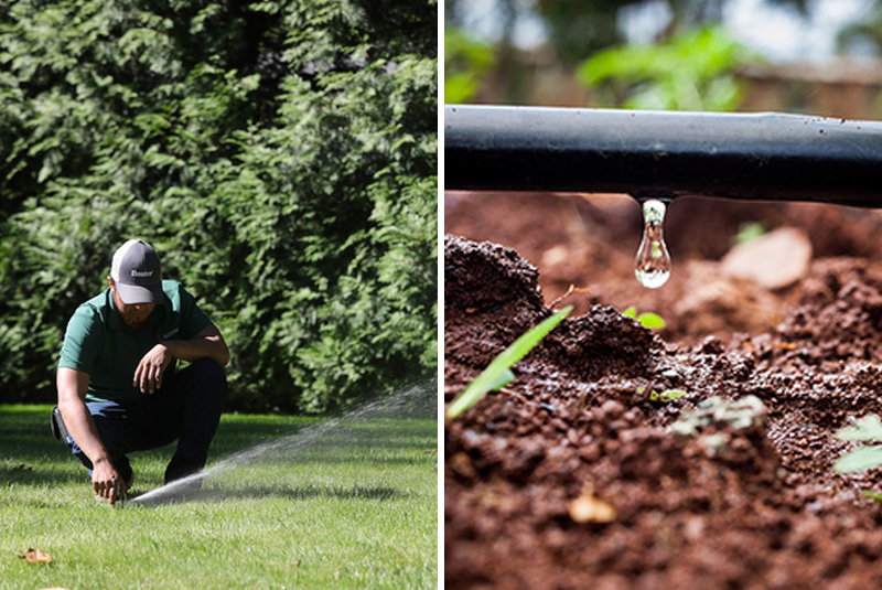 Drip, Spray, Irrigation