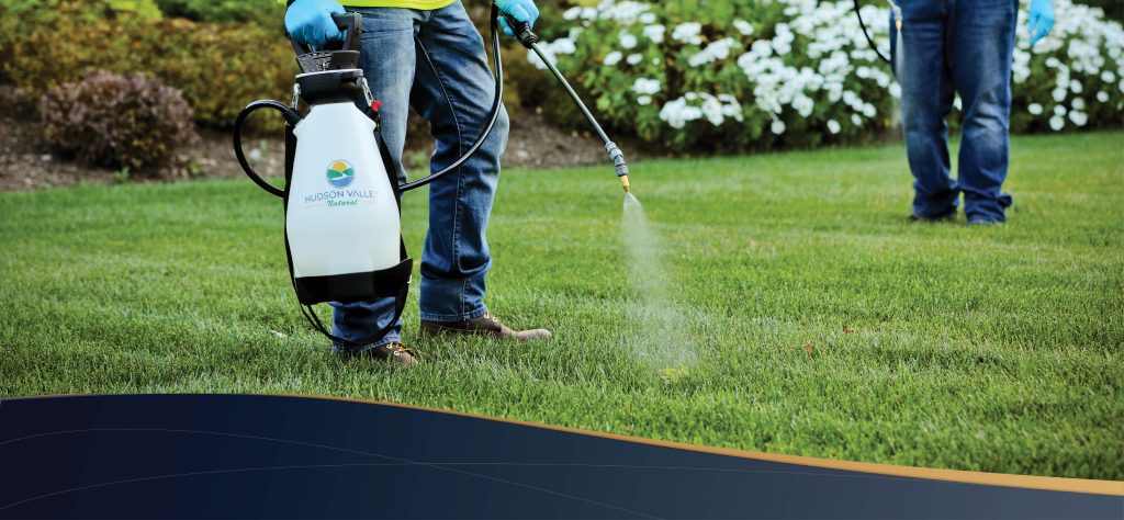 Turf Education Training Event